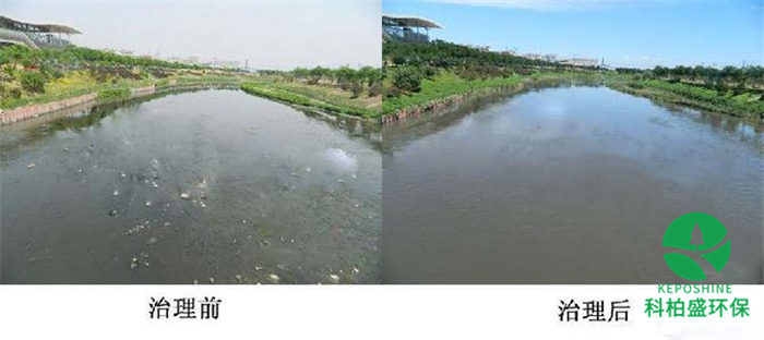 �й���4688����÷����(�ɷ�)���޹�˾-�ٷ���վ