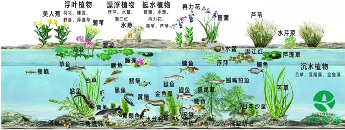 �й���4688����÷����(�ɷ�)���޹�˾-�ٷ���վ