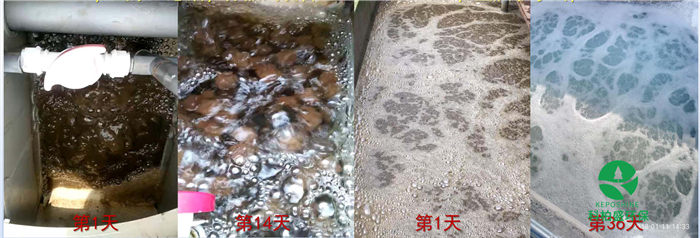 �й���4688����÷����(�ɷ�)���޹�˾-�ٷ���վ