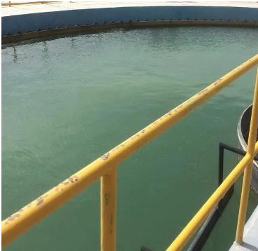 �й���4688����÷����(�ɷ�)���޹�˾-�ٷ���վ