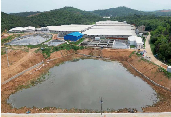 �й���4688����÷����(�ɷ�)���޹�˾-�ٷ���վ