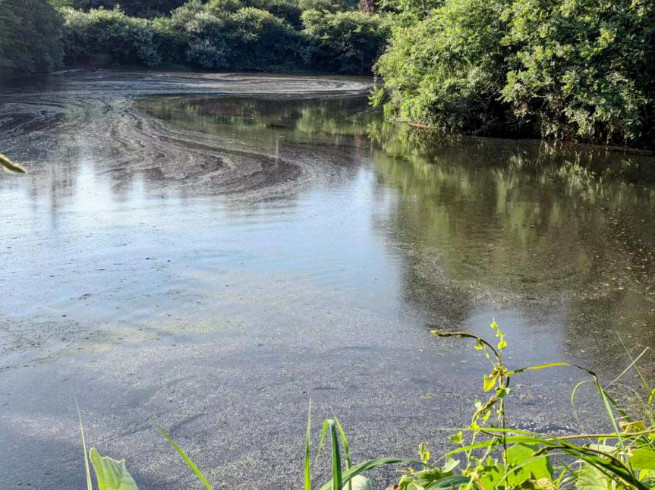 �й���4688����÷����(�ɷ�)���޹�˾-�ٷ���վ