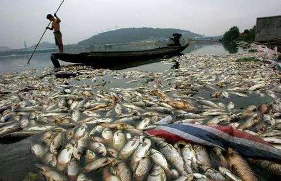 �й���4688����÷����(�ɷ�)���޹�˾-�ٷ���վ